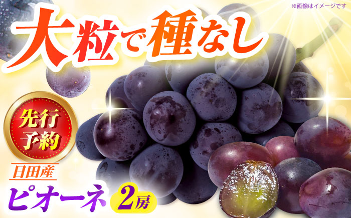 【期間限定】 ピオーネ 1箱（600～700g×2房） 日田市 / JAおおいた　 [AREW004]