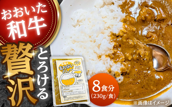 肉屋のまかないカレー(230g×8パック)　日田市 / (株)吉野(デリカミート吉野) おおいた和牛 レトルト カレー [ARFE002]