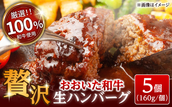 厳選「おおいた和牛」100%使用贅沢な生ハンバーグ(160g×5個)　日田市 / (株)吉野(デリカミート吉野) おおいた和牛 ハンバーグ 牛肉 [ARFE003]