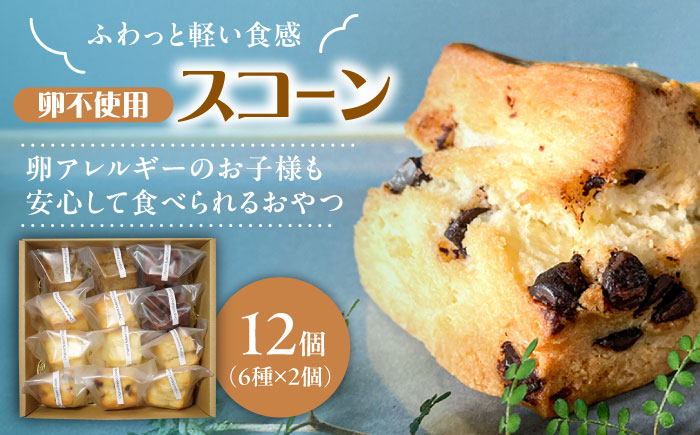 卵不使用スコーン12個セット(6種類×各2個)　日田市 / まるせ　詰め合わせ　卵アレルギー対応 焼き菓子 [ARFH002]