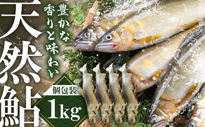 日田産天然鮎(冷凍)1kg　日田市 / 日田漁業協同組合 魚 あゆ アユ [ARFJ002]