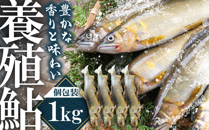 日田産養殖鮎(冷凍)1kg　日田市 / 日田漁業協同組合 魚 あゆ アユ [ARFJ003]
