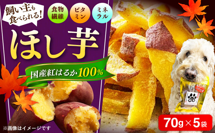 【自然な甘みと歯ごたえ】ワンちゃんの干し芋70g×5袋セット　日田市 / 日本農林産食品製造株式会社 ほしいも 干しいも さつまいも [ARFV005]