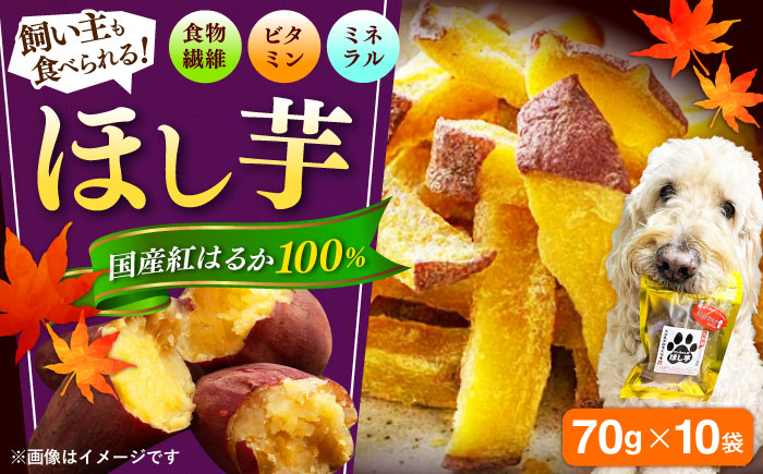 【自然な甘みと歯ごたえ】ワンちゃんの干し芋70g×10袋セット　日田市 / 日本農林産食品製造株式会社 ほしいも 干しいも さつまいも [ARFV006]