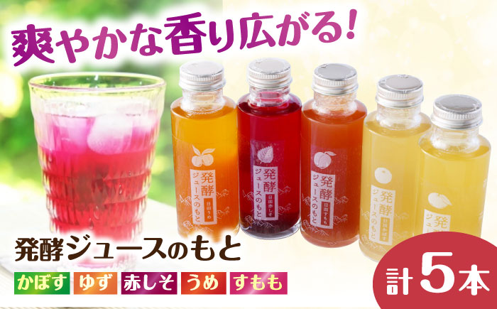 発酵ジュースのもと 飲み比べ5本セット[かぼす・ゆず・赤しそ・うめ・すもも] ジュース 日田市 / 株式会社インパクト [ARDA006]