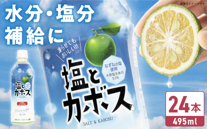 塩とカボス 495ml×24本 日田市 / 株式会社綾部商店 [ARDC015]