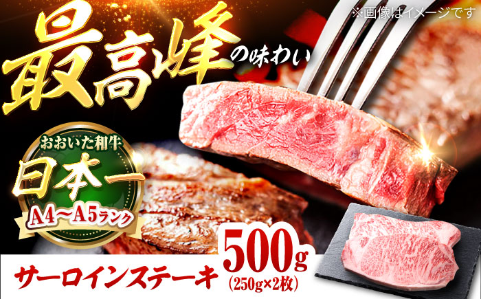 おおいた和牛 サーロインステーキ 500g (250g×2枚) サーロイン 日田市 / 株式会社OTOGINO [AREF128]