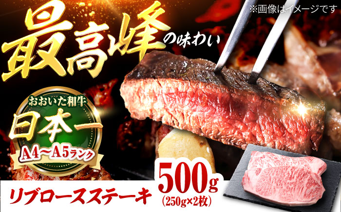 おおいた和牛 リブロースステーキ 500g(250g×2枚) リブロース 日田市 / 株式会社OTOGINO [AREF129]