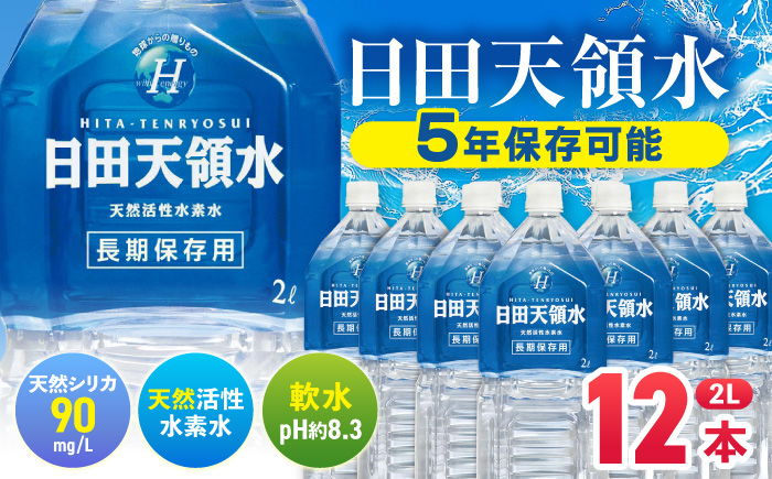 日田天領水 長期保存用2L×6本×2箱 天然水 [AREG032] ウォーター 飲料水 天然水 ミネラルウォーター