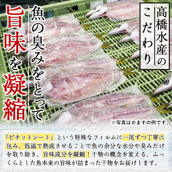 ギフト用品質！九州産ひもの真さばフィレ干物(計10枚・5P) 干物 さば サバ 鯖 サバフィレ 鯖フィレ 冷凍 魚 海鮮 冷凍 小分け ギフト 贈り物 大分県 佐伯市【DH206】【ネクサ】