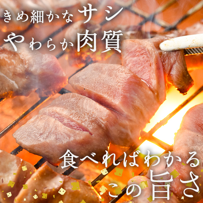 ＜定期便・全12回 (毎月の発送)＞厚切り 塩味 牛タン (総量4.8kg) 定期便 小分け 牛肉 肉 タン 牛たん 味付け 焼肉 塩 BBQ 冷凍 大分県 佐伯市【DH317】【ネクサ】