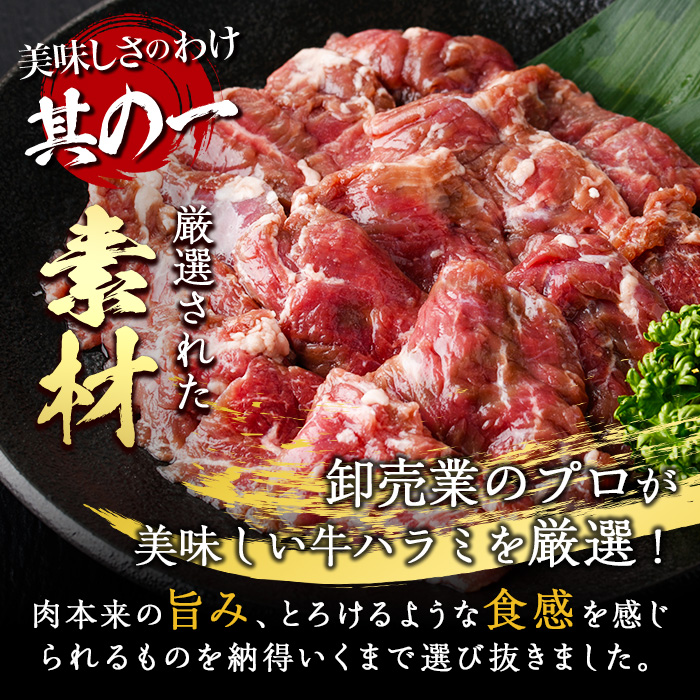 ＜定期便・全12回 (毎月の発送)＞塩味 牛ハラミ(総量7.2kg) 定期便 小分け 牛肉 肉 ハラミ 牛はらみ 味付け 焼肉 塩 BBQ 冷凍 大分県 佐伯市【DH326】【ネクサ】