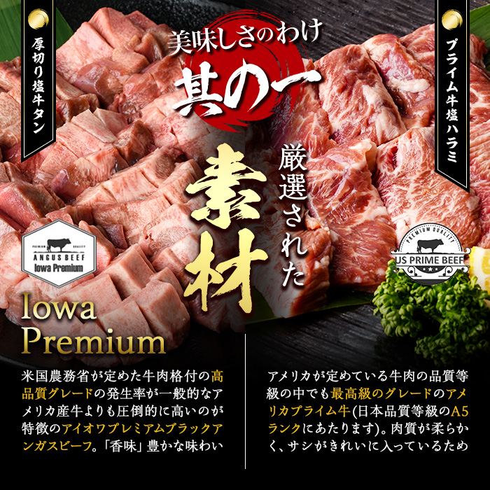 ＜定期便・全12回 (毎月の発送)＞ 特選 牛タン ・ 牛ハラミ セット (総量9.6kg) 定期便 小分け 牛肉 肉 タン 牛たん ハラミ 牛はらみ 詰め合わせ 味付け 焼肉 塩 BBQ 冷凍 大分県 佐伯市【DH329】【ネクサ】