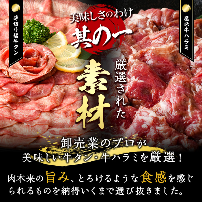 ＜定期便・全12回 (毎月の発送)＞ たっぷり！ 薄切り 塩 牛タン・牛ハラミ セット (総量14.4kg) 小分け 牛肉 肉 タン たん ハラミ はらみ 詰め合わせ 味付け 焼肉 BBQ 冷凍 大分県 佐伯市【DH332】【ネクサ】