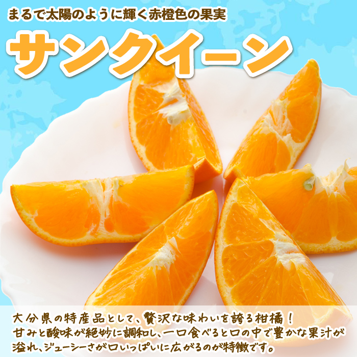 サンクイーンジュース (3本) セット フルーツ 果物 柑橘 ジュース 果汁 期間限定 数量限定 大分県産 特産品 大分県 佐伯市 防災 常温 常温保存【DT20】【全国農業協同組合連合会大分県本部】
