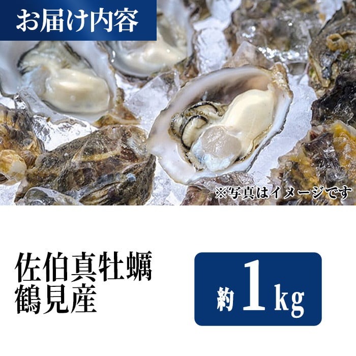 佐伯真牡蠣 鶴見産 (約1kg) 牡蠣 カキ 新鮮 小分け 生牡蠣 生カキ カキフライ 鍋 大分県 佐伯市【生食可】【EW061】【Up】