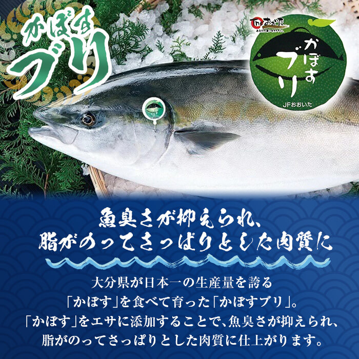 かぼすブリ フィーレ (2枚:約2kg) 期間限定 鰤 ブリ フィーレ フィレ ぶりしゃぶ 刺身 鰤しゃぶ 半身 魚 魚介類 養殖 大分県産 大分県 佐伯市【EW069】【Up】