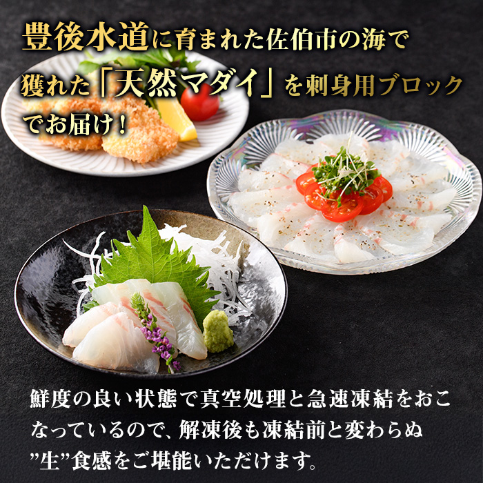 佐伯産 天然真鯛 刺身用ブロック (計1kg) 魚 刺身 お刺身 鯛 タイ たい 真鯛 マダイ 鮮魚 海鮮 魚介 小分け カルパッチョ 塩焼き フライ 冷凍 国産 大分県産 おかず おつまみ 【GO016】【水元】