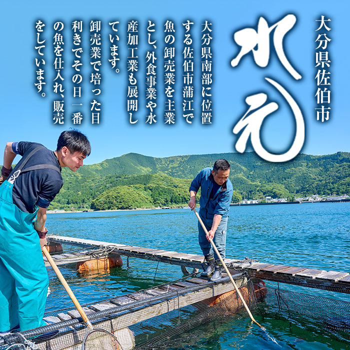＜ 訳あり ＞ 骨取り 白身魚 切身 (約400g・1袋) 魚 切り身 小分け お試し 骨取り カット済 無塩 簡単調理 冷凍 国産 大分県産 おかず おつまみ お弁当 にべ ニベ 【GO019】【水元】