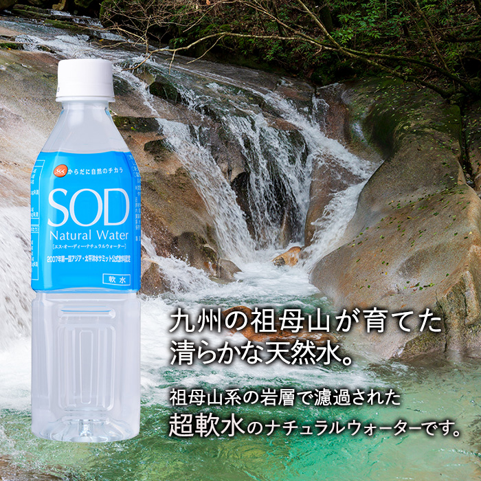 ＜定期便・全6回(毎月)＞ナチュラル ウォーター SOD 500ml (総量144本・500ml×24本×6回) 定期便 国産 鉱泉水 お水 ミネラル ドリンク 大自然 天然 料理 健康 維持 防災 常温 保存 6回【HD246】【さいき本舗 城下堂】