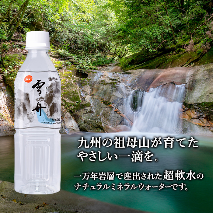 ＜定期便・全3回(毎月)＞ナチュラル ミネラル ウォーター 雪舟 (総量72本・500ml×24本×3回) 定期便 国産 鉱泉水 お水 ドリンク 大自然 天然 料理 健康 維持 防災 常温 保存 3回【HD249】【さいき本舗 城下堂】