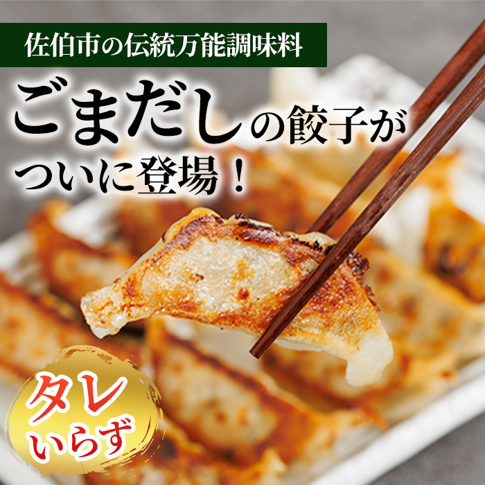 ごまだし餃子 (計100個) 餃子 ギョーザ ギョウザ 鶏肉 おつまみ おかず お惣菜 惣菜 冷凍 ごまだし【HW002】【MTK】