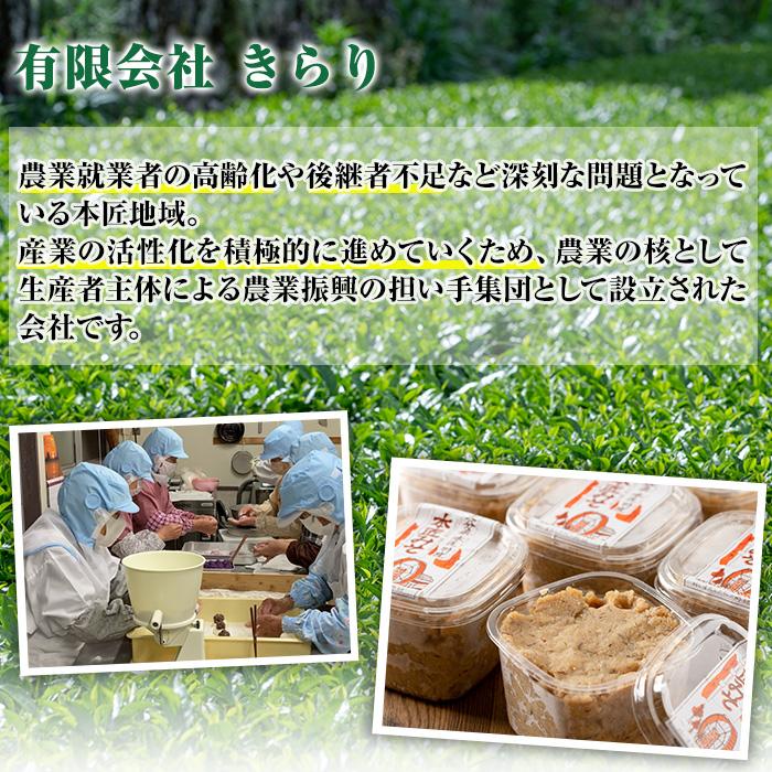 因尾茶 ティーバッグ (計66個・22個入×3袋) お茶 緑茶 茶 ティーバッグ 釜炒り 因尾茶 特産品 お取り寄せ 大分県 佐伯市【AH67】【(有)きらり】
