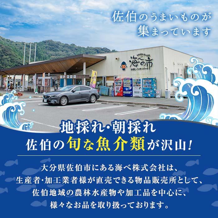 こだわりの塩うにセット(60g×3本)うに ウニ 雲丹 塩うに ミョウバン不使用 冷凍 海の直売所 大分県 佐伯市【AS93】【海べ】