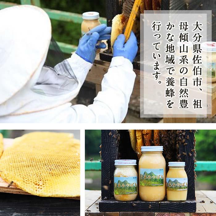 国産 はちみつ (920g) ハチミツ 蜂蜜 ロイヤルゼリー 調味料 スイーツ 多賀さん採蜜 大分県 佐伯市【AY73】【(公財)さいき農林公社】