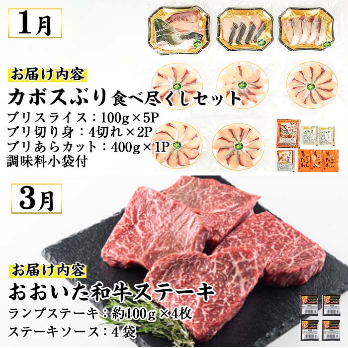 ＜先行予約受付中！2026年1月中旬より配送開始＞＜定期便・全4回＞味力全開！佐伯の彩り 春夏秋冬 定期便(該当月にお届け) 鰤 ブリ ステーキ ランプ モモ とらふぐ 刺身 ふぐ 鍋 セット 【BR115】【佐伯市ふるさと納税事業者協議会】