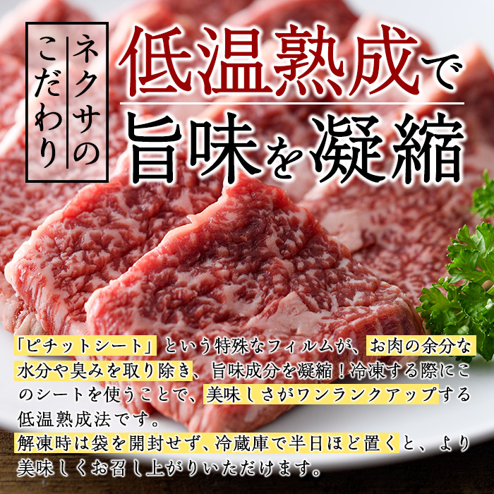 おおいた和牛 赤身カルビ焼肉 (250g) 国産 牛肉 肉 霜降り 低温熟成 A4 和牛 ブランド牛 カルビ 焼肉 BBQ 冷凍 大分県 佐伯市【DH200】【(株)ネクサ】