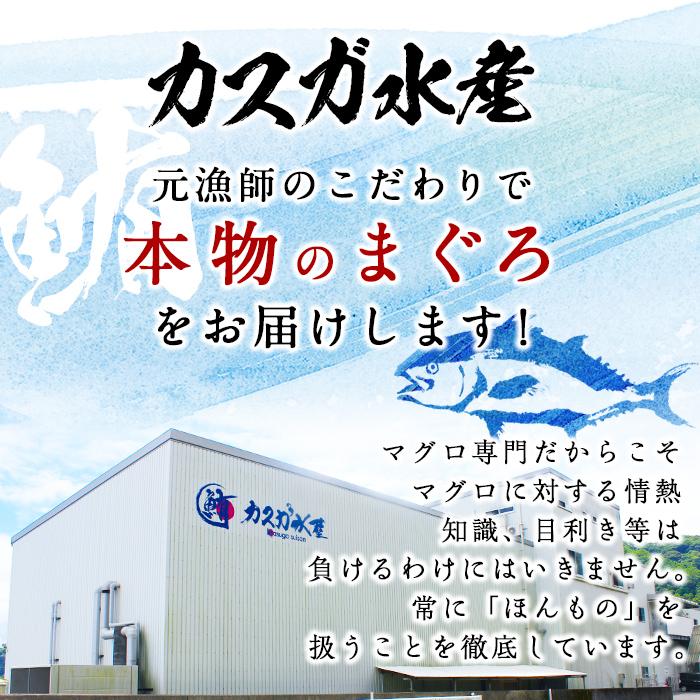 【お試し】カスガ水産 ネギトロ (計320g 80g×4パック) 鮪 まぐろ 国産 小分け 冷凍 魚 ネギトロ丼 どんぶり 個包装 海鮮 ごはん おかず おすすめ お取り寄せ グルメ 大分県 佐伯市【DH207】【(株)ネクサ】