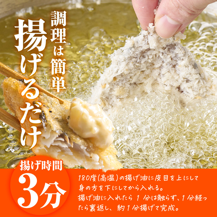 【試食用とり天2枚付】＜訳あり・お試し用＞地魚フライセット詰合せ (計4P・3種類以上) おかず おつまみ 惣菜 お惣菜 お弁当 詰め合わせ アジフライ さば 鯖 あじ 鯵 ぶり 鰤 冷凍 時短 小分け 魚 魚フライ ふるさと納税 【DH209-G】【ネクサ】