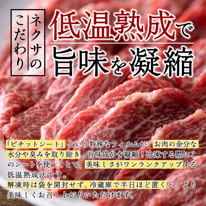 おおいた和牛 トウガラシ 焼肉 (300g) 国産 牛肉 肉 霜降り 低温熟成 A4 和牛 ブランド牛 BBQ 冷凍 大分県 佐伯市【DH221】【(株)ネクサ】