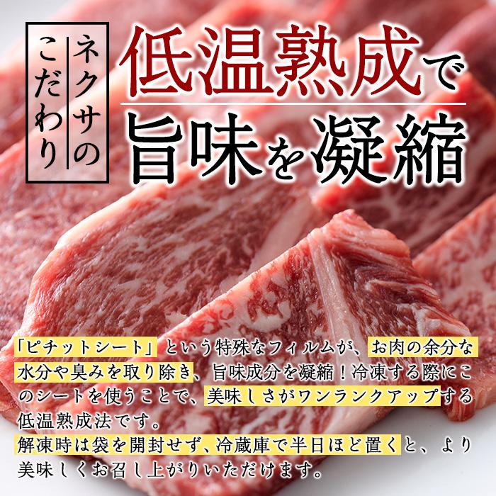 おおいた和牛 上ロース 焼肉 (200g) 国産 牛肉 肉 霜降り 低温熟成 A4 和牛 ロース ブランド牛 BBQ 冷凍 大分県 佐伯市【DH222】【(株)ネクサ】