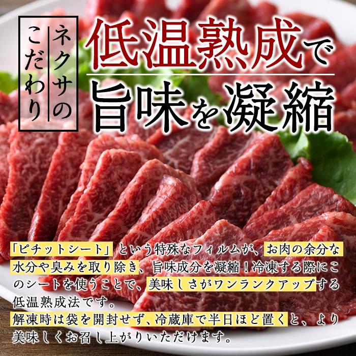 おおいた和牛 赤身 焼肉 2種セット (合計550g・特選赤身焼肉250g+赤身焼肉300g) 国産 牛肉 肉 霜降り 低温熟成 A4 和牛 ブランド牛 BBQ 冷凍 大分県 佐伯市 【DH233】【(株)ネクサ】