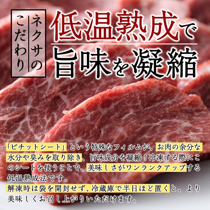 ＜定期便・全4回＞おおいた和牛 低温熟成 焼肉 お楽しみ 定期便 (3ヶ月ごとにお届け) 国産 牛肉 肉 霜降り A4 上ロース ヒレ 上カルビ ランプ 和牛 ブランド牛 冷凍 大分県 佐伯市【DH246】【(株)ネクサ】