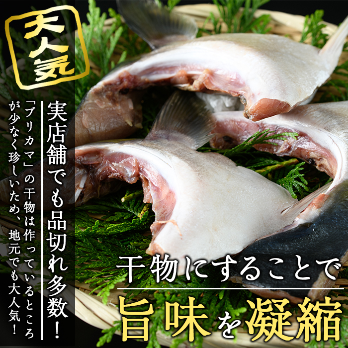 ＜お試し用＞ひもの丸丁の塩ブリカマ(3～4枚入り)×2パック 大分県産 国産 ブリ ぶり 鰤 養殖ブリ 新鮮 鰤かま 冷凍 大分県 佐伯市【DH254】【(株)ネクサ】