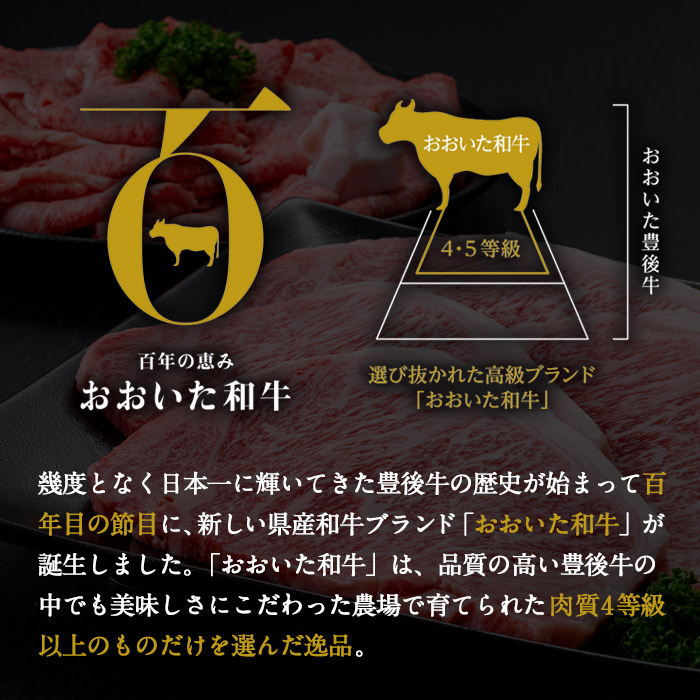 おおいた和牛 サーロイン ヒレ ステーキ セット ソース付き (合計620g・サーロイン180g×2枚・ヒレ130g×2枚) サーロイン ステーキ 国産 4等級 冷凍 和牛 牛肉 詰め合わせ 大分県 佐伯市【DP75】【 (株)まるひで】