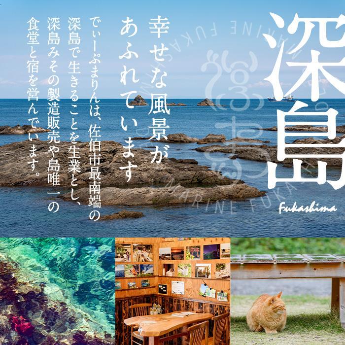 深島みそ (計約2kg・680g×3個) 味噌 みそ 味噌汁 麹 調味料 安部さん 手作り 【EK01】【でぃーぷまりん】【EK01】【でぃーぷまりん】