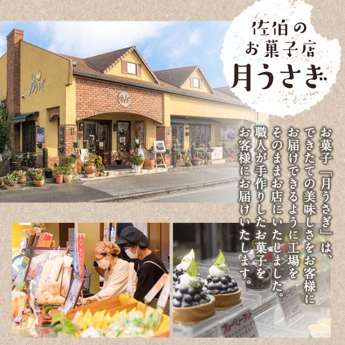 月うさぎの佐伯マリンレモン (計20個) レモン レモンケーキ スイーツ スウィーツ 菓子 焼き菓子 洋菓子 おやつ セット 個装 大分県 佐伯市【ER004】【(株)古川製菓】