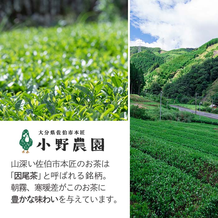 特選 釜炒り茶 因尾茶 (計240g・80g×3P) お茶 緑茶 茶 茶葉 釜炒り茶 日本茶 大分県 佐伯市 【ES01】【小野農園】