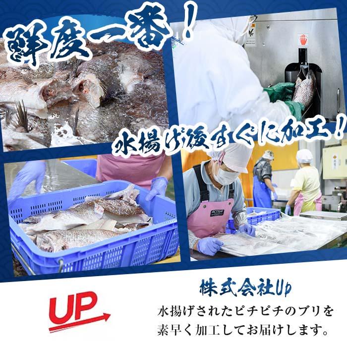 ブリチャン (500g) 鰤 ブリ チャンジャ 韓国料理 コチュジャン おつまみ 加工食品 大分県産 大分県 佐伯市【EW001】【(株)Up】