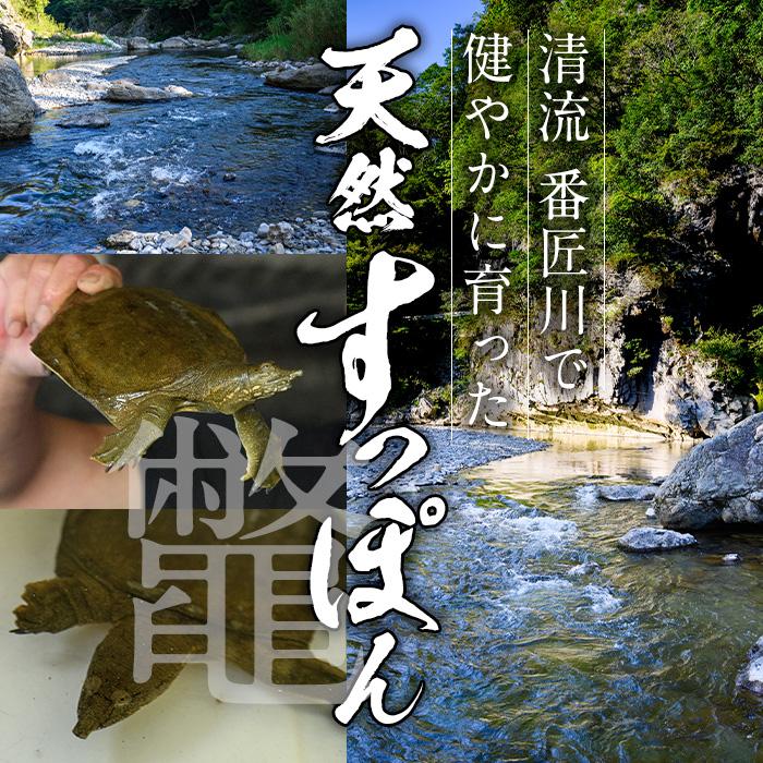 料理屋が作った すっぽん 鍋 スープ (約700g) すっぽん スッポン スープ 出汁 身入りコラーゲン 大分県 佐伯市 【FB02】【旬彩一会・仁】