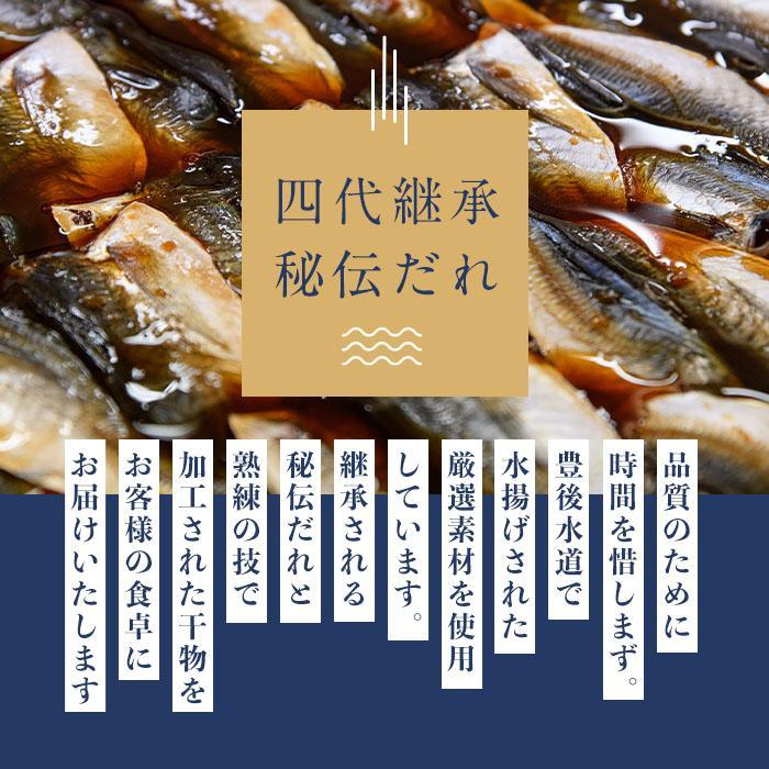 四代続く秘伝のたれ みりん干しセット (合計5種・24枚以上) 干物 ひもの 魚 さかな 鯵 あじ 鯖 さば かます 醤油 食べ比べ おかず 国産 詰め合わせ セット 大分県 佐伯市  【FT01】【田辺海産】