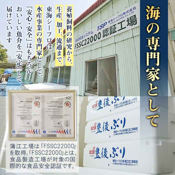 ＜先行予約受付中！2025年12月に順次発送予定＞豊後ぶり半身セット (合計1kg以上・スキンレスポーション×4切れ・ブリカマ×1切れ・あつめしのタレ×5袋) 簡単調理 鰤 皮なし 骨なし 小分け 真空パック 刺身 刺し身 塩焼き【GD001】【東海シープロ】