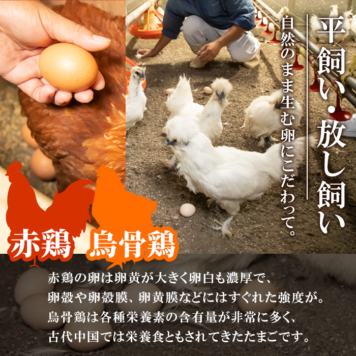 平飼い鶏のたまごセット (合計20個・烏骨鶏たまご10個・赤鶏たまご10個) 元さん農園 卵 玉子 卵かけご飯 玉子焼き 平飼い 鶏 鶏卵 養鶏場直送 朝採れ 新鮮 大分県 佐伯市 【GE004】【 (株)海九】
