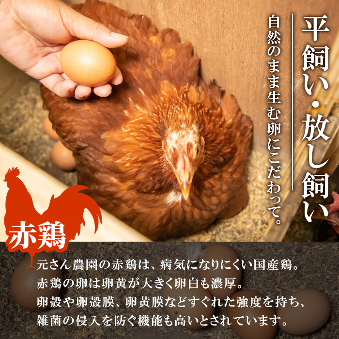 ＜定期便・全6回 (連続)＞平飼い赤鶏のたまご (総量180個・S-Mサイズ30個×6回) 元さん農園 卵 玉子 卵かけご飯 玉子焼き 平飼い 鶏 鶏卵 養鶏場直送 朝採れ 新鮮 大分県 佐伯市 【GE005】【 (株)海九】