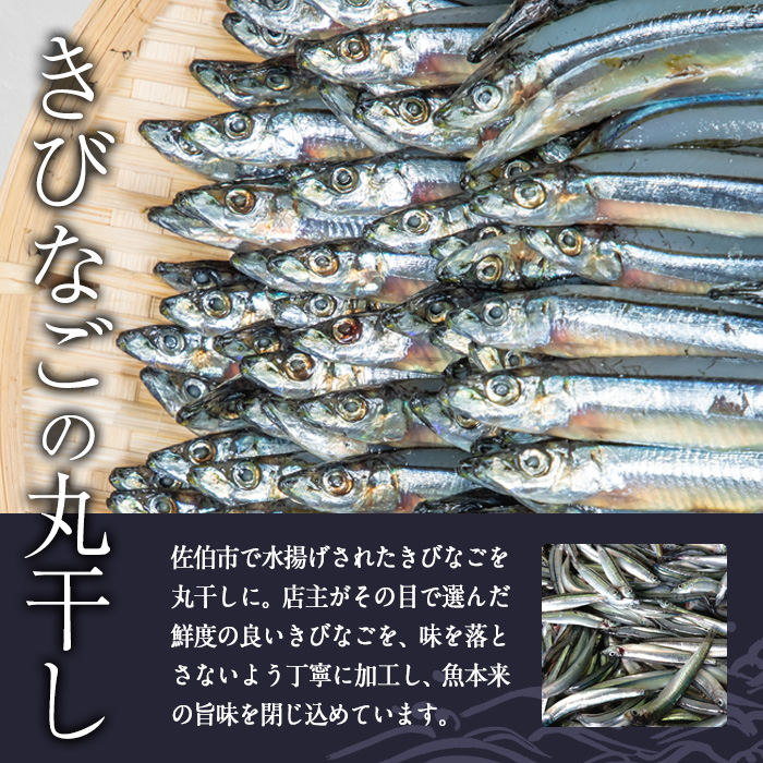 ＜訳あり・業務用＞きびなごの丸干し (計約1kg) 干物 ひもの 唐揚げ フライ 天ぷら 焼き物 お弁当 おかず お酒のおつまみ 大分県 佐伯市 【GH001】【増野善雄商店】