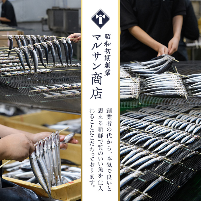 ＜訳あり＞黄金いわし (60尾以上) 黄金 いわし イワシ 丸干し 魚 海鮮 冷凍 おつまみ 小分け【GX002】【(有)マルサン商店】